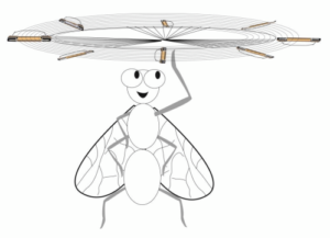 drawing of bug twirling a buzz off