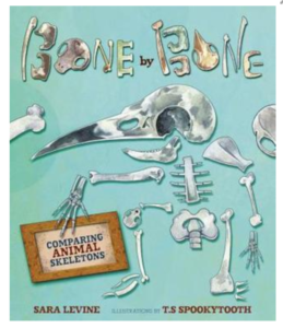 Image of book - Bone by Bone