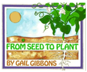 Image of book cover - From Seed to Plant