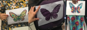 Simetria de la Mariposa, Camuflage y Disfraz