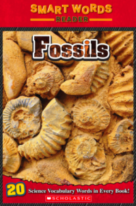 Fossils by Judith Bauer Stamper
