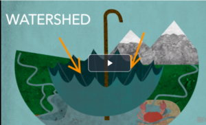 Ways of Watershed from PBS Learning Media