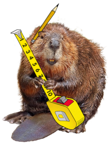 Beavers! from PBS Learning Media