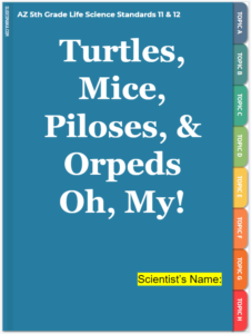 Turtles, Mice, Piloses, & Orpeds Oh, my!