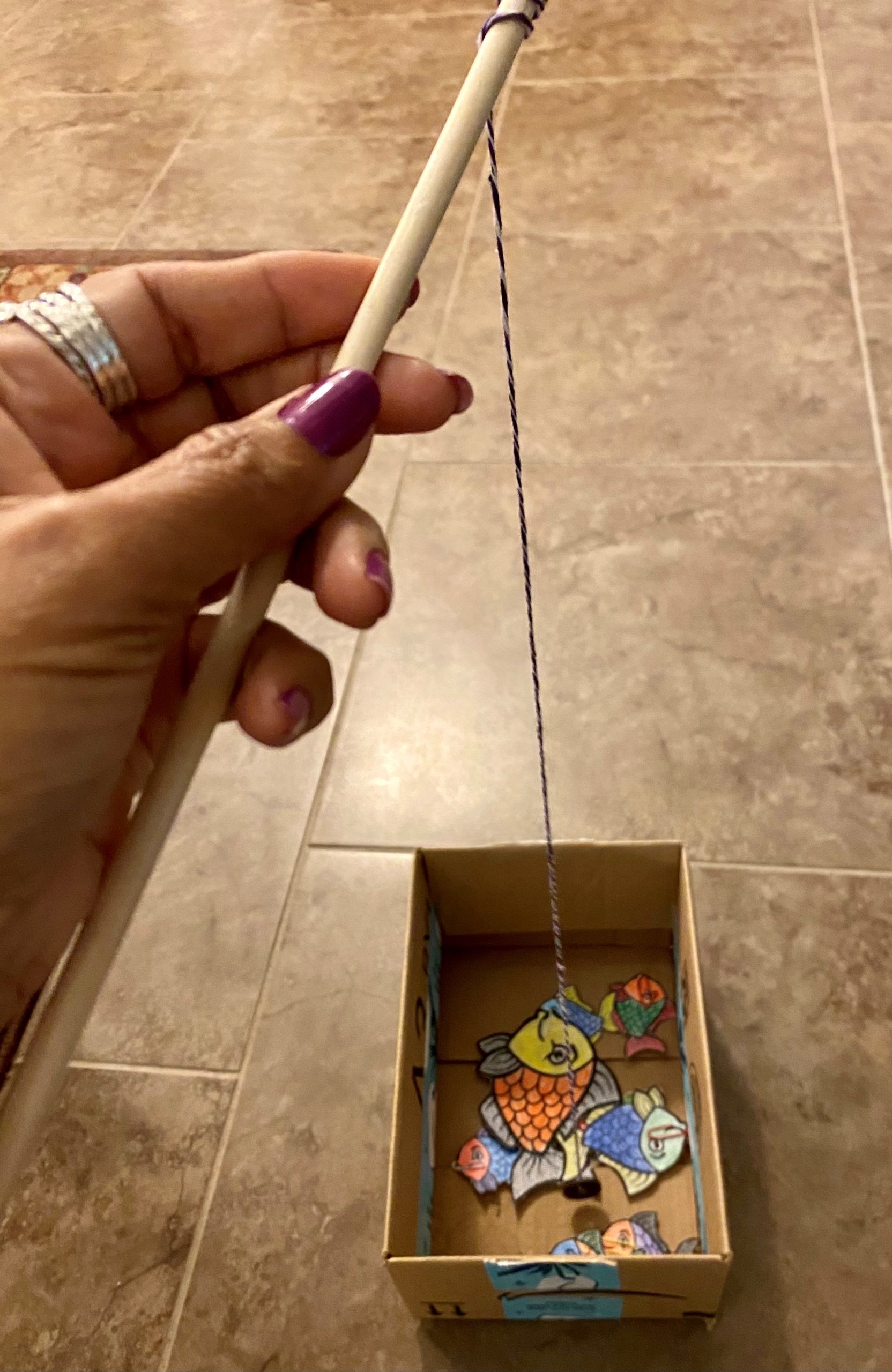 Fish Tales STEMAZing Systems Thinking