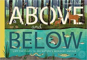 Above and Below by Patricia Hegarty
