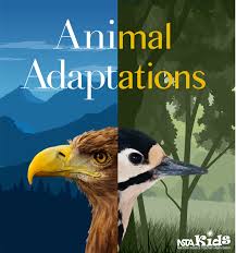 Animal Adaptations by NTSA KIDS