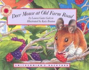 Deer Mouse at Old Farm Road by Laura Gates Galvin (author) and Katy Bratun (illustrator)