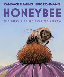 Honeybee: The Busy Life of Apis Mellifera by Candace Fleming (author) and Eric Rohmann (Illustrator)