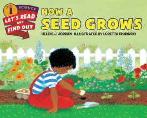 How a Seed Grows by Helene J. Jordān (author) and Lorettā Krupinski (illustrator)