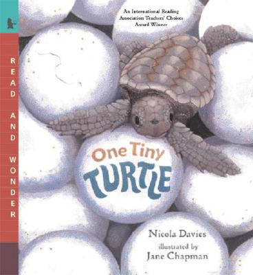 One Tiny Turtle by Nicola Davies (author) and Jane Chapman (illustrator)