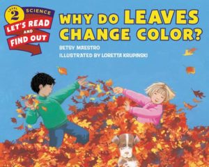 Why Do Leaves Change Color? by Betsy Māestro (author) and Lorettā Krupinski (illustrator)