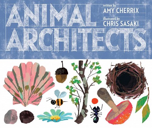 Animal Architects by Amy Cherrix (author) and Chris Sasaki (illustrator)