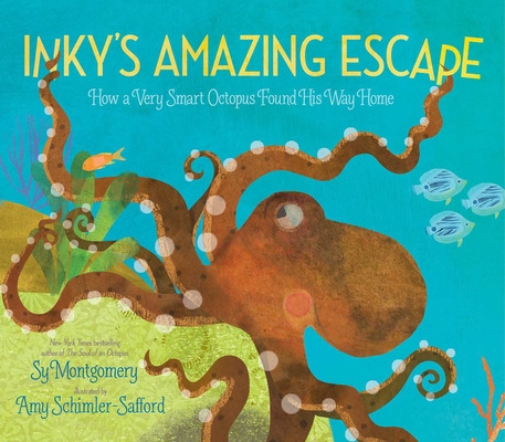 Inky's Amazing Escape : How a Very Smart Octopus Found His Way Home by Sy Montgomery (author) and Amy Schimler-Safford
