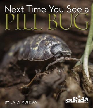 Next Time You See a Pill Bug by Emily Morgan
