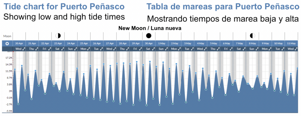 Slow Reveal Graph: How do the phases of the moon impact tides?